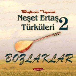 Neşet Ertaş Türküleri 2