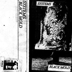 Black Mold