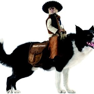 Monkey Rodeo 的头像