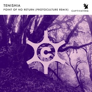 Point Of No Return (Protoculture Remix)