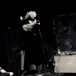 Pararaccoon için avatar