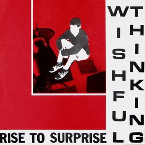 Image for 'Rise To Surprise'
