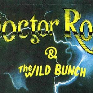 Image for 'Doctor Rock And The Wild Bunch'