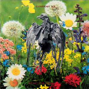 Current 93 - Malediction Lyrics - Zortam Music