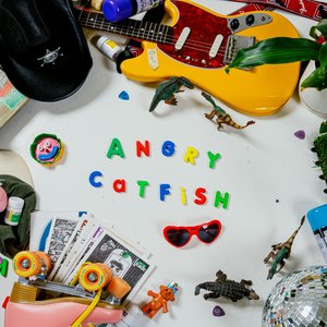 Angry Catfish - Single