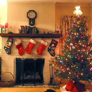 Xmas Songs 的头像