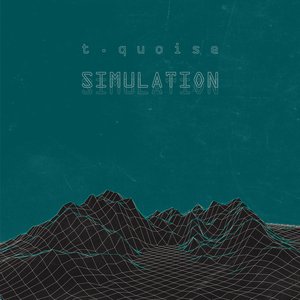 Simulation