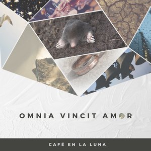 Omnia Vincit Amor