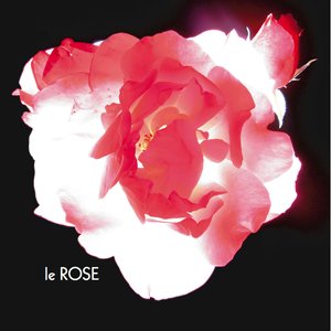 Le Rose