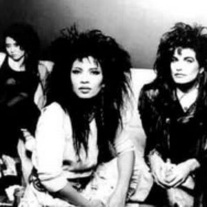 “American Girls”的封面