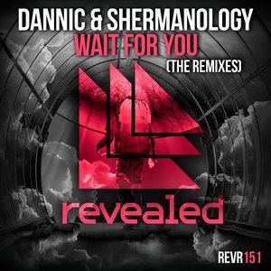 Wait For You (The Remixes)