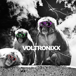 Avatar di VoltronixX