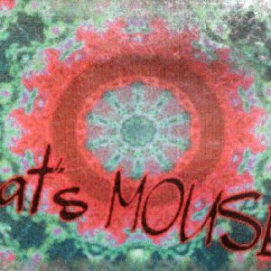 what's MOUSE?