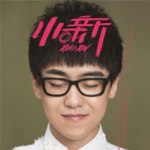 小新