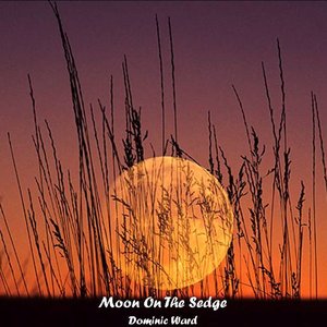 Moon on the Sedge