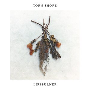 Lifeburner
