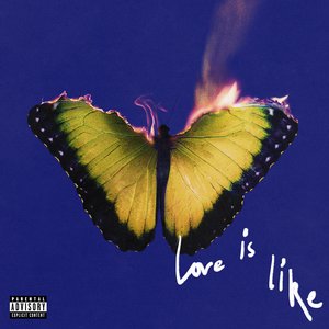 Love Is Like [Explicit]