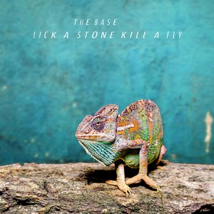 Lick A Stone Kill A Fly