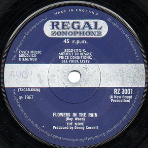 Flowers in the Rain