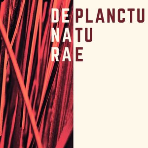 De Planctu Naturae