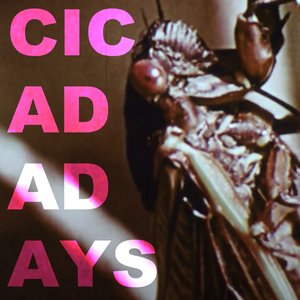 Cicada Days - Single