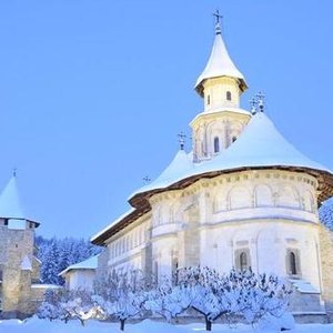 Mănăstirea Putna 的头像