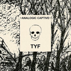 Analogic Captive 的头像