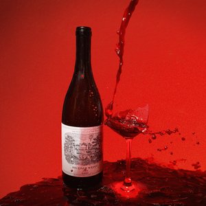 aufnimmawiederschaun - Single