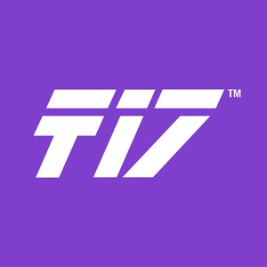 Team17 的头像