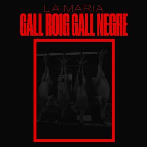 Gall roig, gall negre