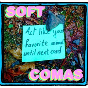 Image for 'Soft Comas'