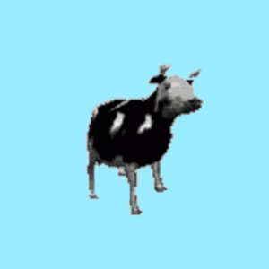 Polish Cow