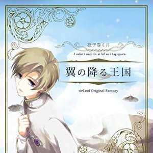 翼の降る王国