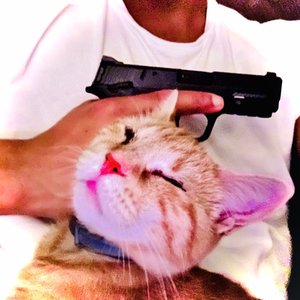 Avatar for @pinkk50s, fakemink
