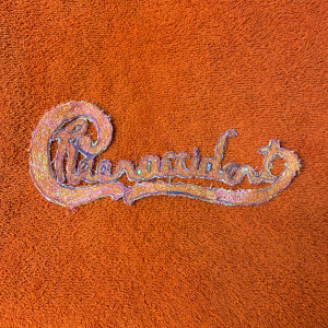 Chicago XX cover