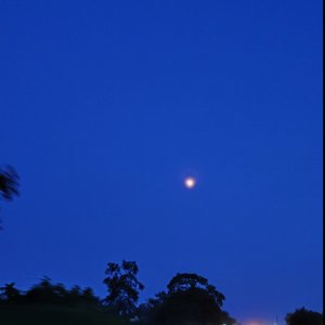 Avatar for Harmless Night
