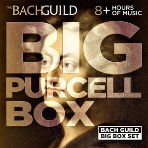 Big Purcell Box