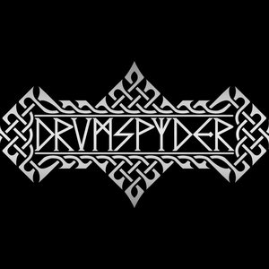 Drumspyder 的头像