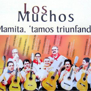 Los muchos 的头像