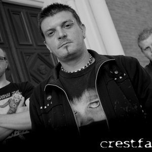 crestfallen e.a.r 的头像