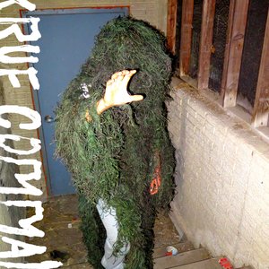 I Lurk in the Camo