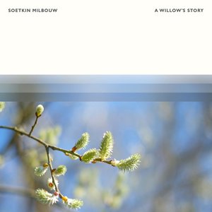 A Willow's Story