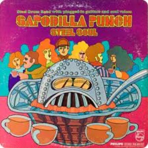 Image for 'Sapodilla Punch'