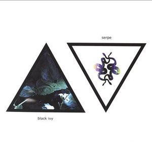 Black Ivy / Serpe