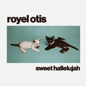 Royel Otis - Sweet Hallelujah Lyrics - Zortam Music
