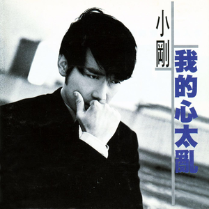 我的心太亂 cover
