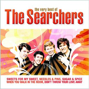 The Searchers - Til I Met You Lyrics - Zortam Music