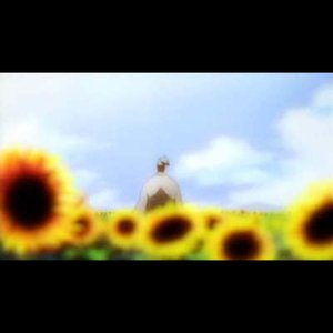 Sunflowers - Single