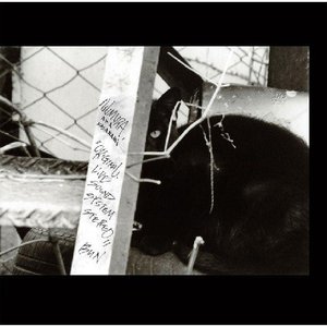 Original Live Soundsystem Stereo