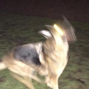 mytreehouseburneddown.. için avatar